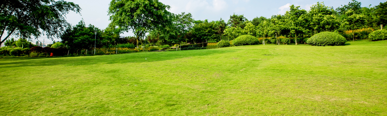 Private Basement as extra space to explore hidden you